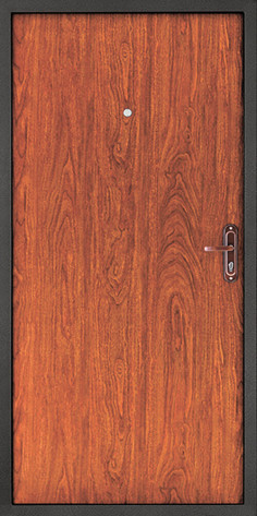 Дверной континент Входная дверь Модель 53, арт. 0002649